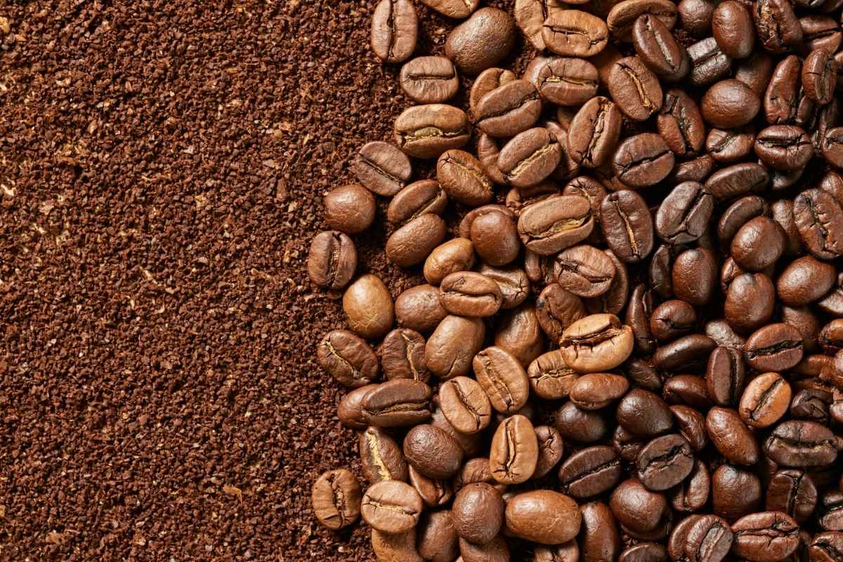Sai Gon roasted coffee beans specialty